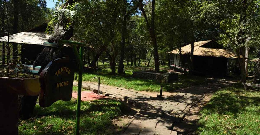 tent-stay1 tent-stay1