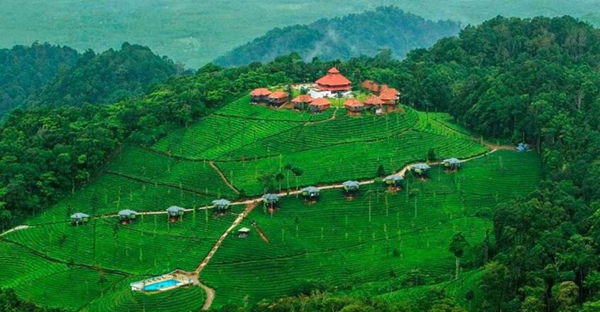 Wild-Planet-Jungle-Resort Wild-Planet-Jungle-Resort