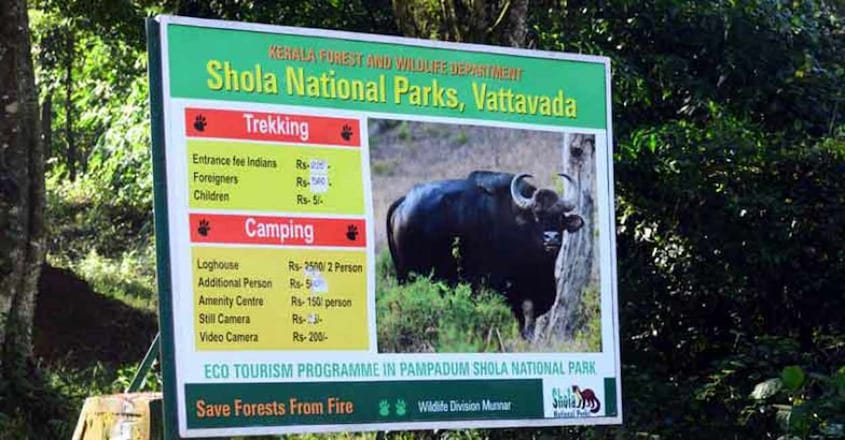 pampadum-shola-national-park pampadum-shola-national-park