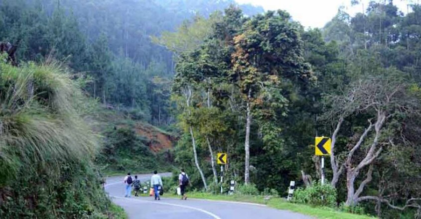 pampadum-shola-national-park1 pampadum-shola-national-park1