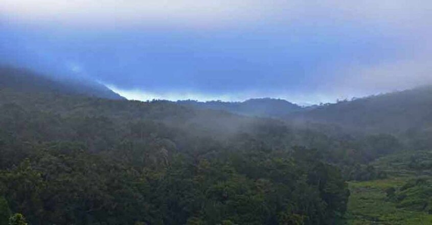 pampadum-shola-national-park3 pampadum-shola-national-park3