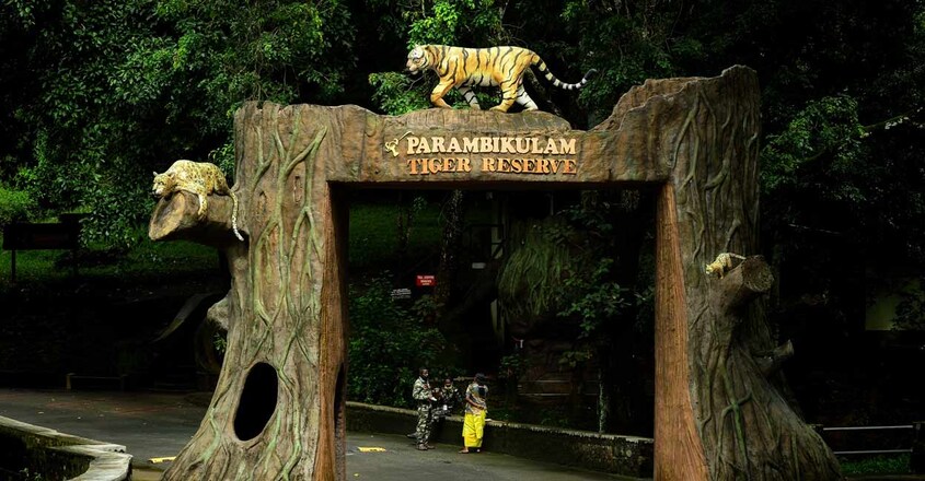 parambikulam-tiger-reserve6