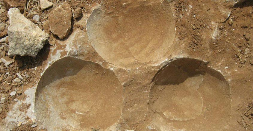 Dinosaur-Fossil-ParkRaioli3 Dinosaur-Fossil-ParkRaioli3