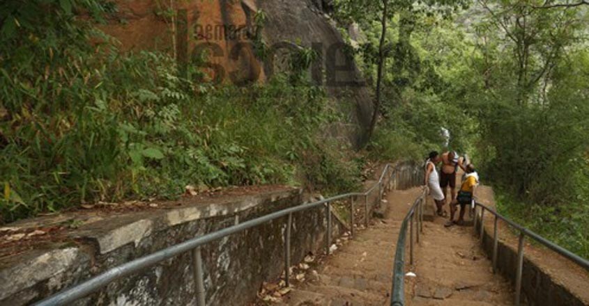 kollihill1 kollihill1