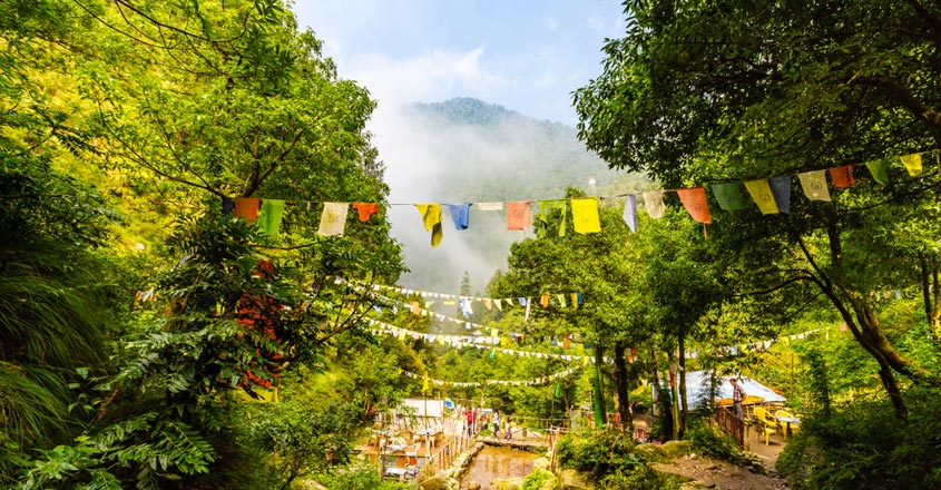dalhousie dalhousie