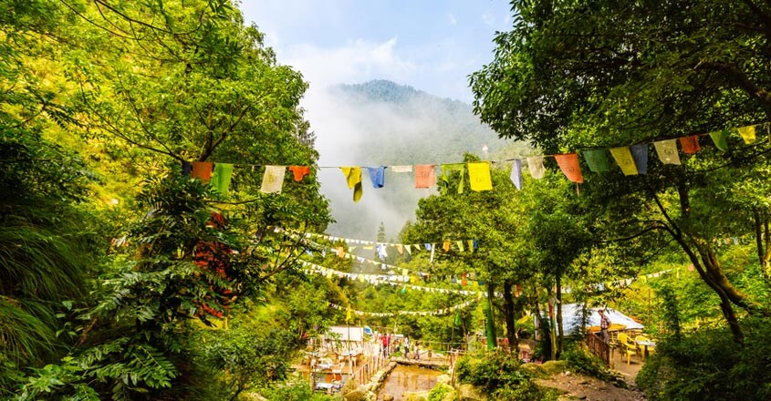 dalhousie dalhousie
