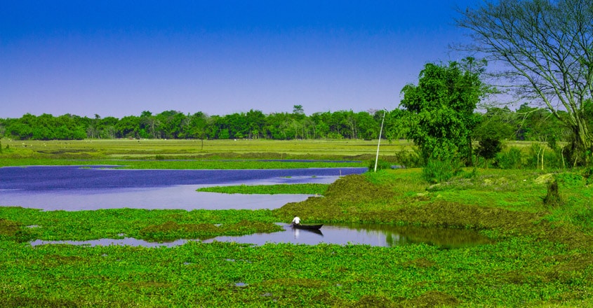 majuli majuli