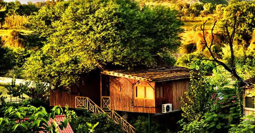 The-Tree-House-Resort,-Jaipur,-Rajasthan The-Tree-House-Resort,-Jaipur,-Rajasthan