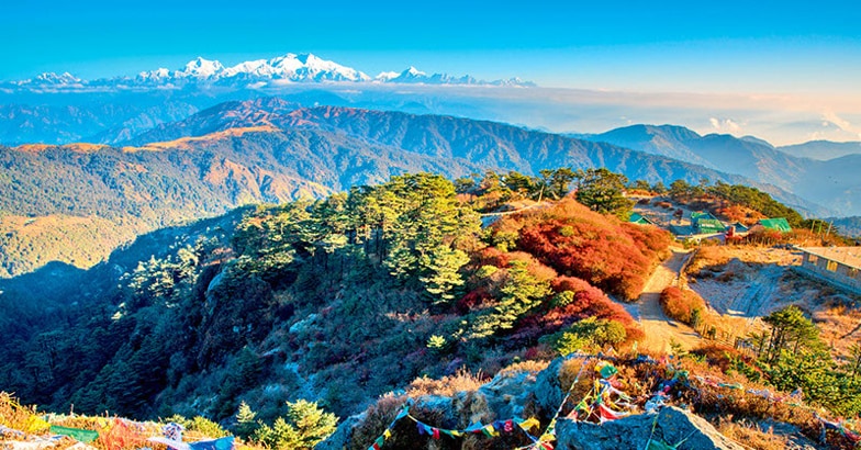 Darjeeling1 Darjeeling1