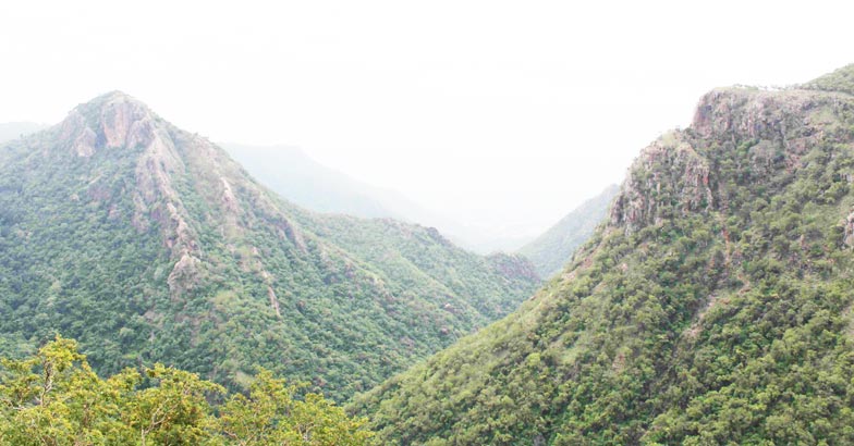 kollihills2 kollihills2
