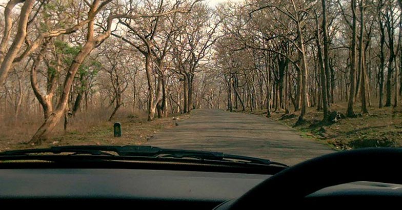 1SathyamangalamForest 1SathyamangalamForest