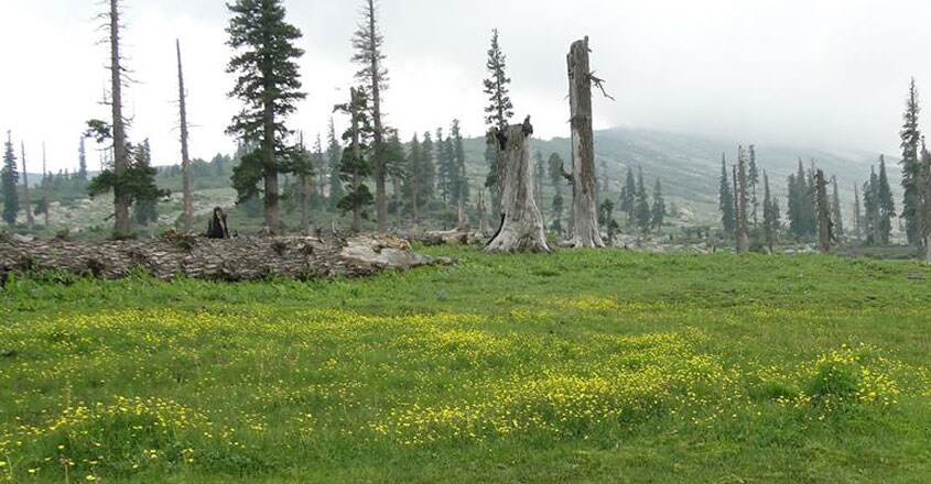 Bhaderwah-trip Bhaderwah-trip