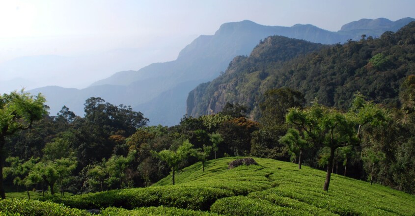 kotagiri kotagiri