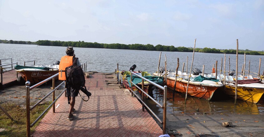 pichavaram-mangrov-forest-4 pichavaram-mangrov-forest-4