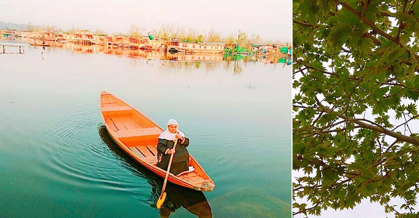 dal lake and Chinar dal lake and Chinar
