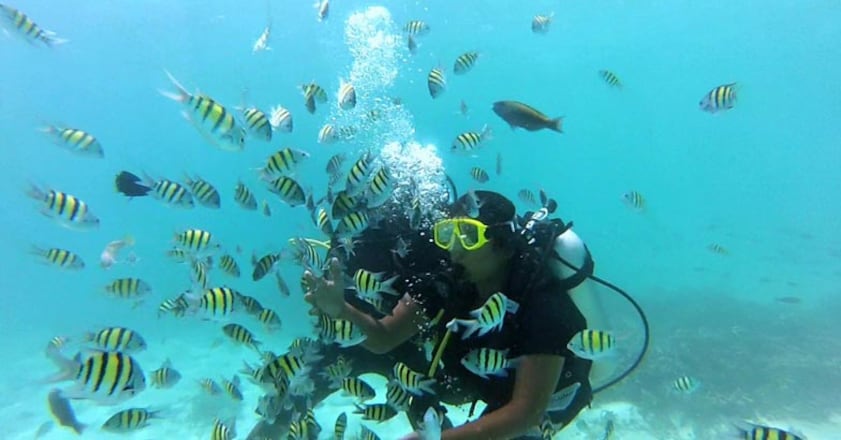 bankaram-scuba-diving bankaram-scuba-diving
