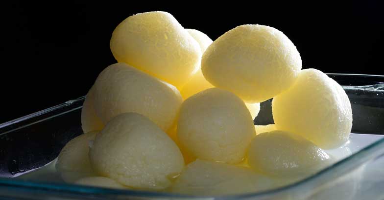 Rasagula Rasagula