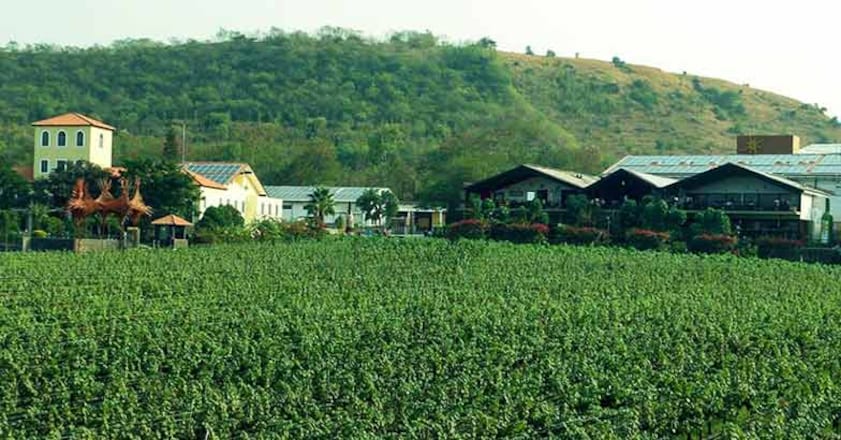 wine-place-sula wine-place-sula