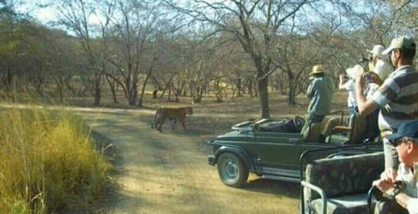 Jawai-Hillsnew-travel1 Jawai-Hillsnew-travel1
