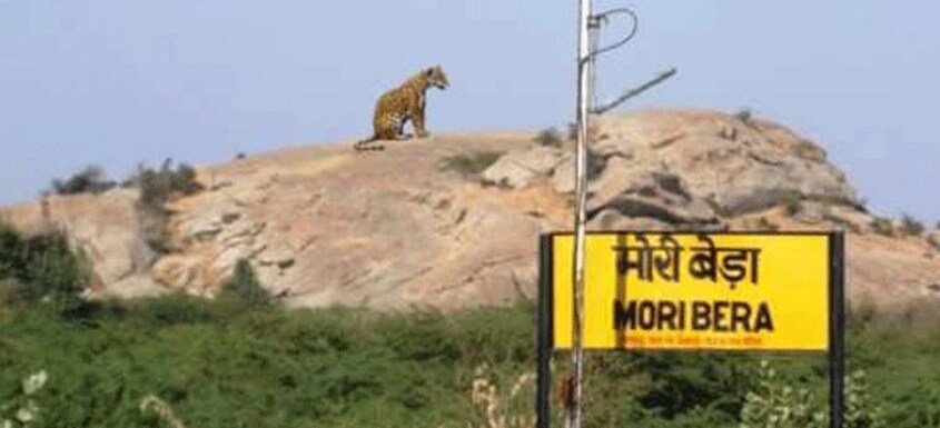 Jawai-Hillsnew-travel3 Jawai-Hillsnew-travel3