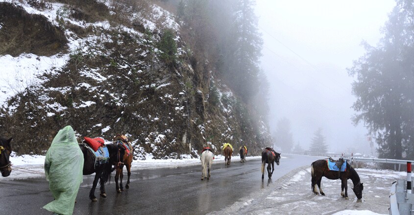 shimla-travel2 shimla-travel2