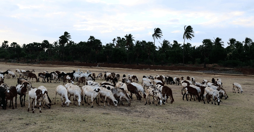 Sundarapandiapuram-Tour7 Sundarapandiapuram-Tour7