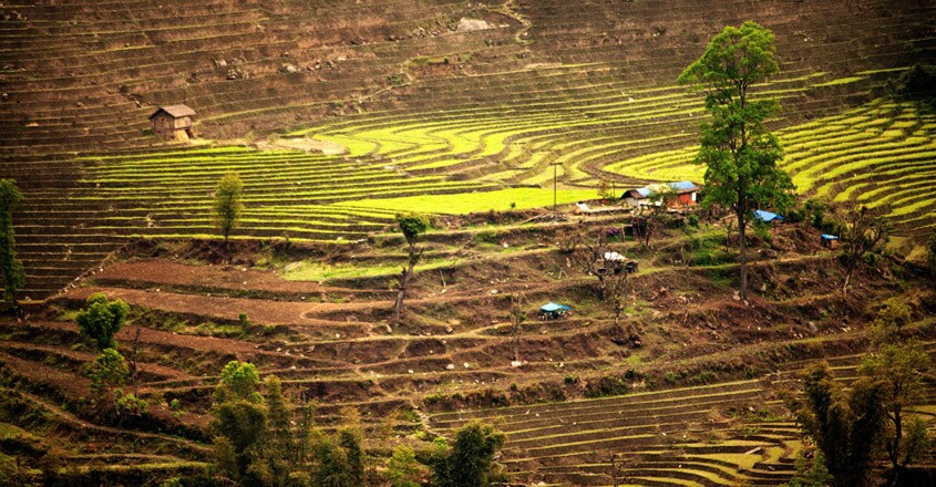 sikkim-travel4 sikkim-travel4