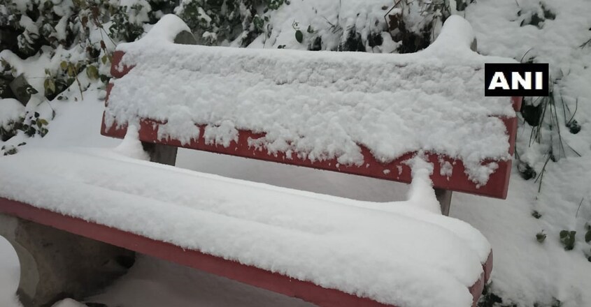 shimla-trip shimla-trip