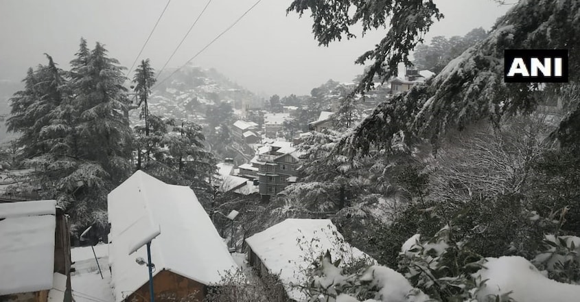shimla-trip1 shimla-trip1