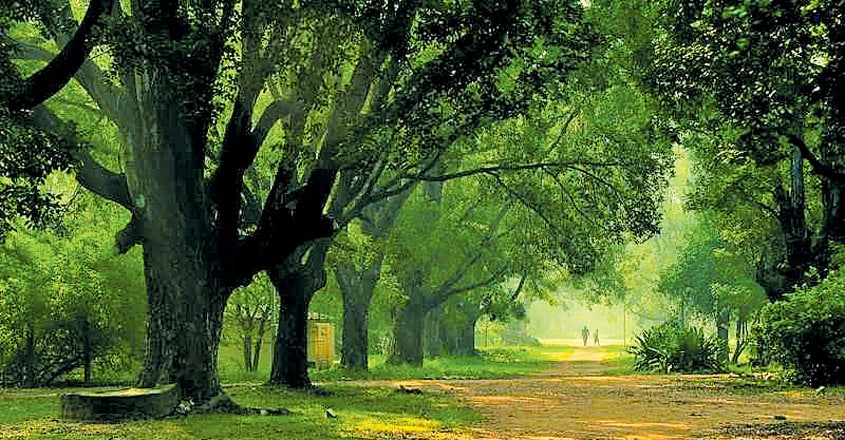 cni-theosophikal-park cni-theosophikal-park