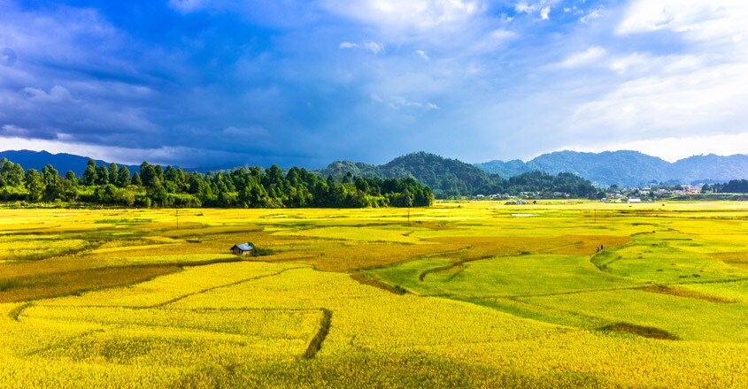 ziro-valley ziro-valley