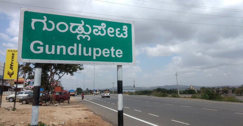 gundelpett-trip gundelpett-trip