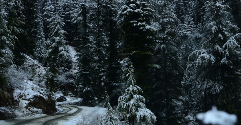 shimla-travel shimla-travel