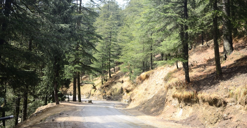 shimla-travel8 shimla-travel8