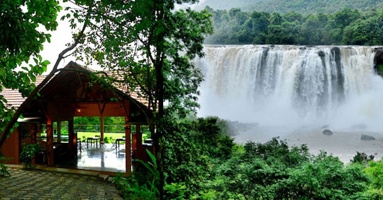 RAIN-FOREST RAIN-FOREST