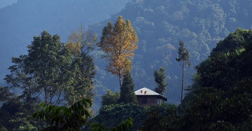 Kolakham Kolakham