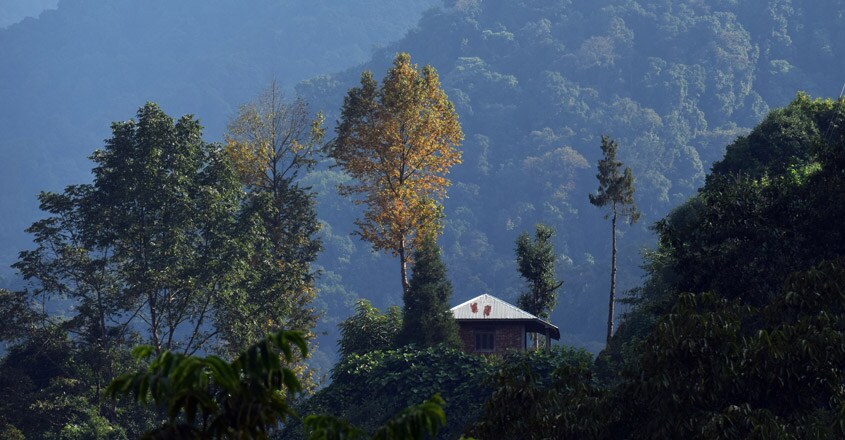 Kolakham Kolakham