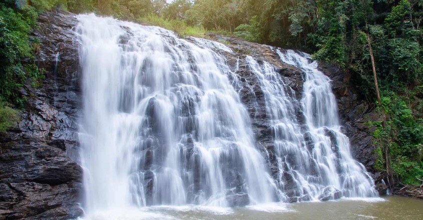 coorg coorg