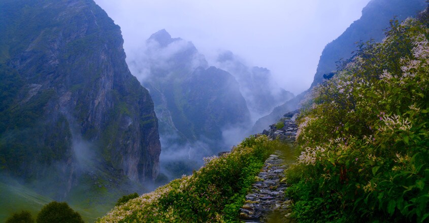 Valley-of-Flowers--Uttarakhand Valley-of-Flowers--Uttarakhand