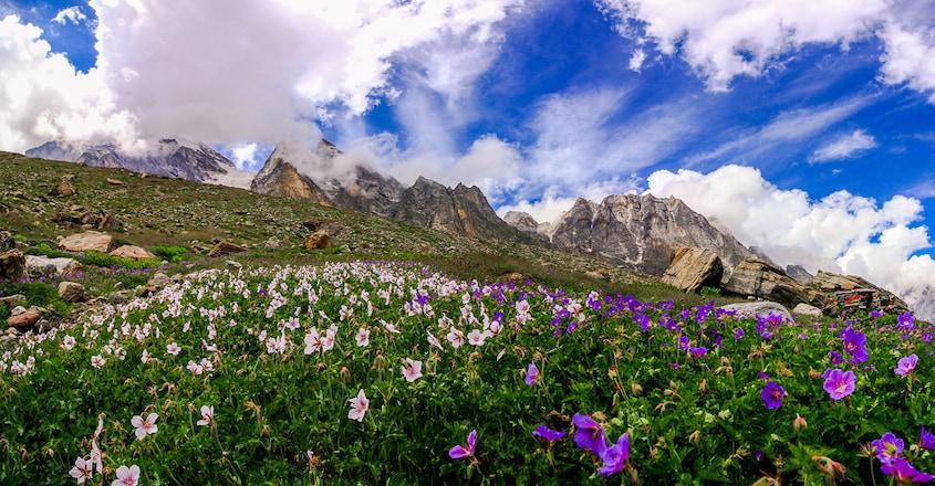 valley-of-flowers-uttarakhand valley-of-flowers-uttarakhand