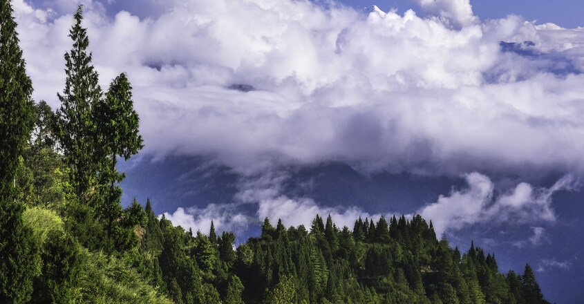 Tawang Tawang