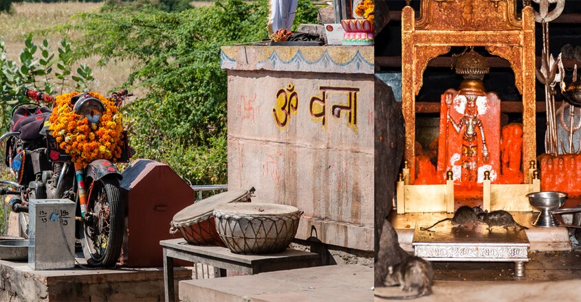 temple temple