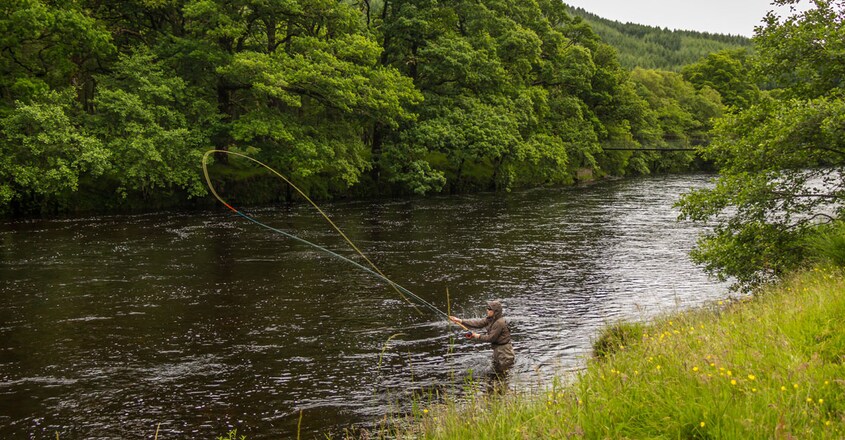 fly-fishing fly-fishing