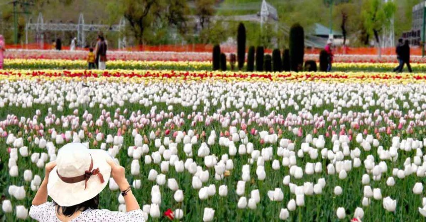 valentine-trip-Srinagar valentine-trip-Srinagar