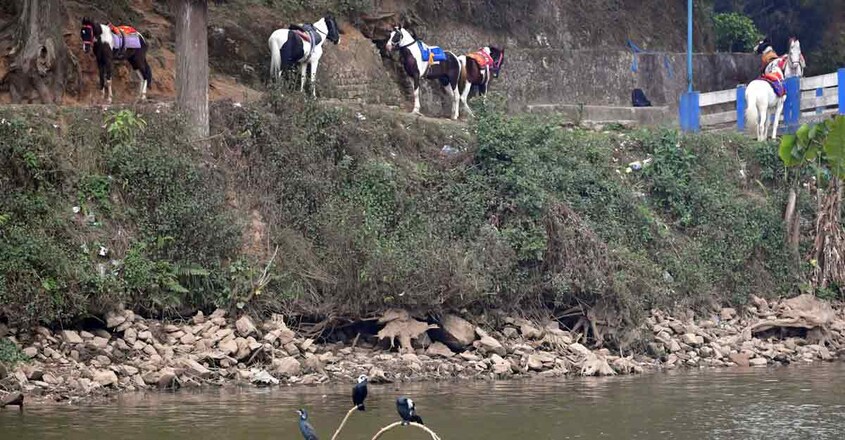 55mirik-lake-and-horse 55mirik-lake-and-horse