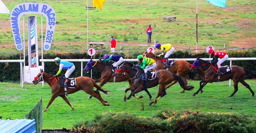 horse-1 horse-1