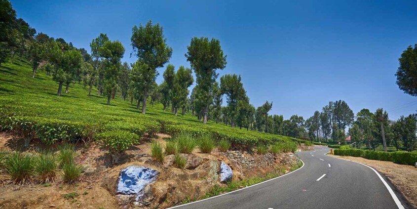 1-munnar-pollachi 1-munnar-pollachi
