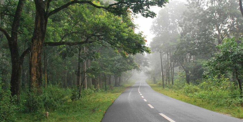 3Wayanad-To-Madikeri 3Wayanad-To-Madikeri