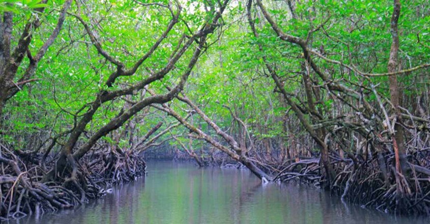 baratang-island baratang-island