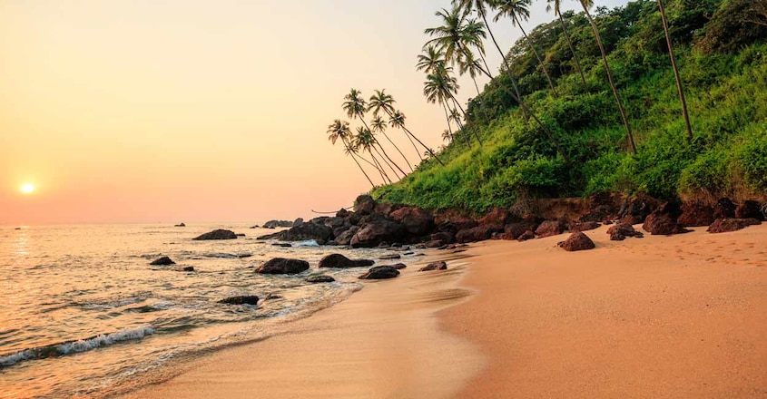 goa goa